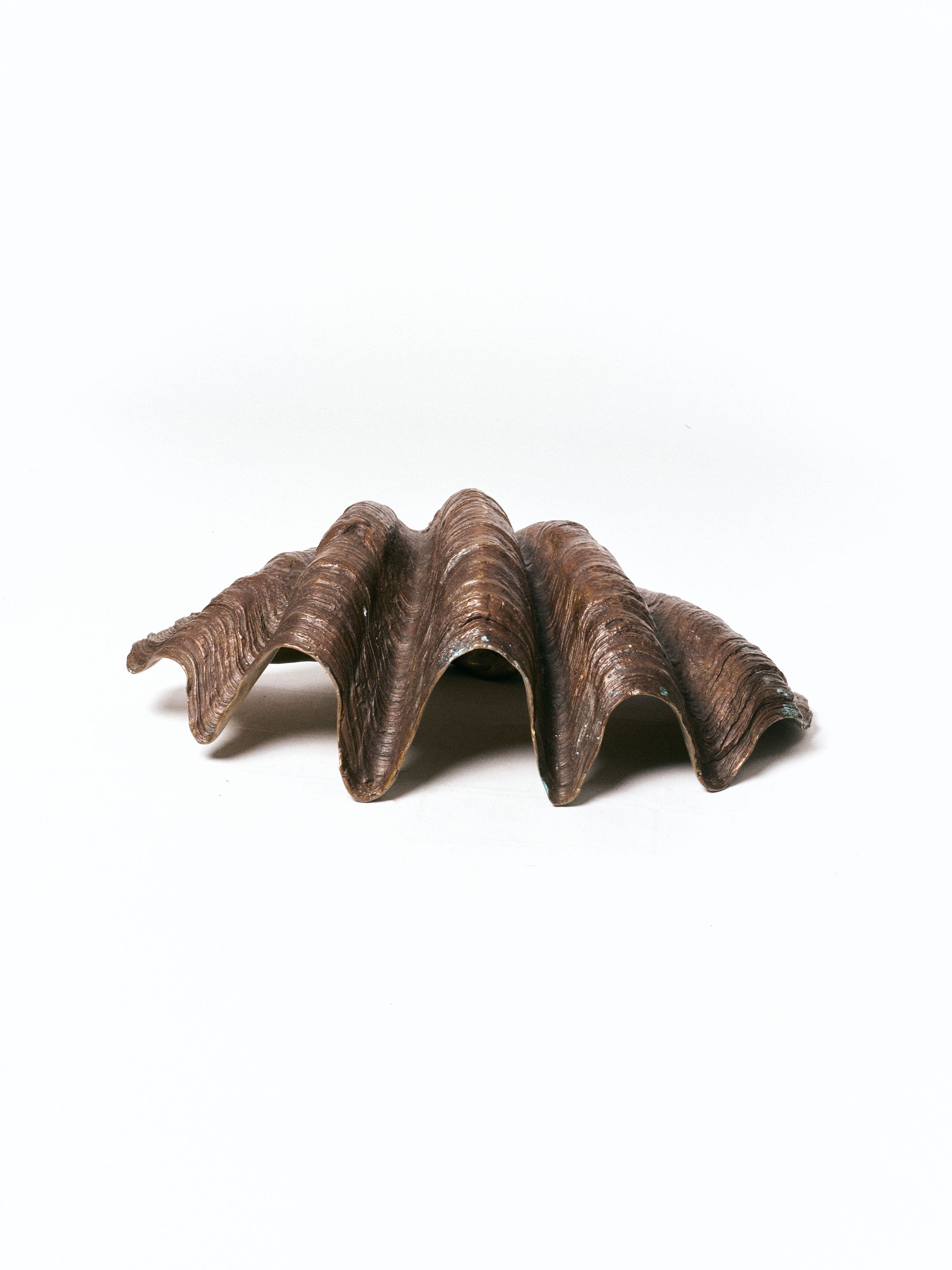 Bronze Shell Scalpture - INN7