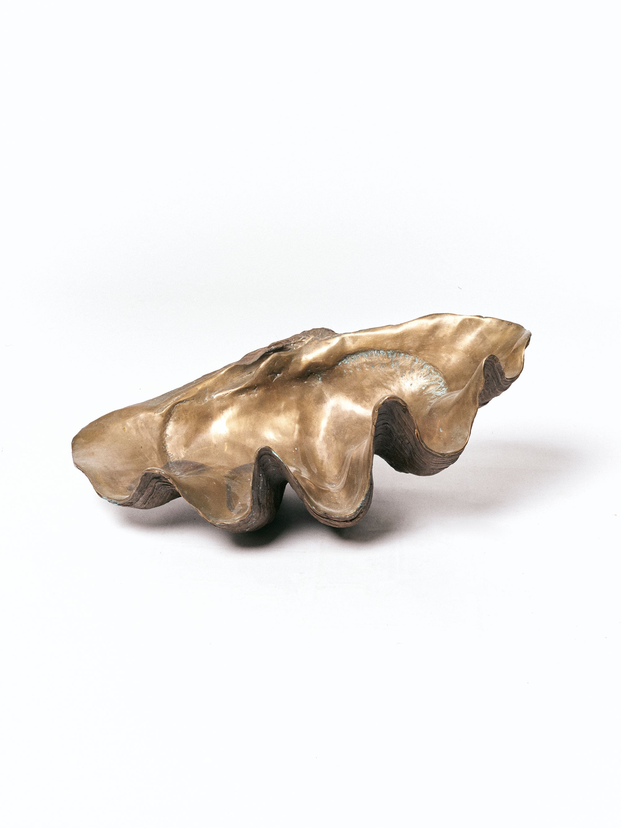 Bronze Shell Scalpture