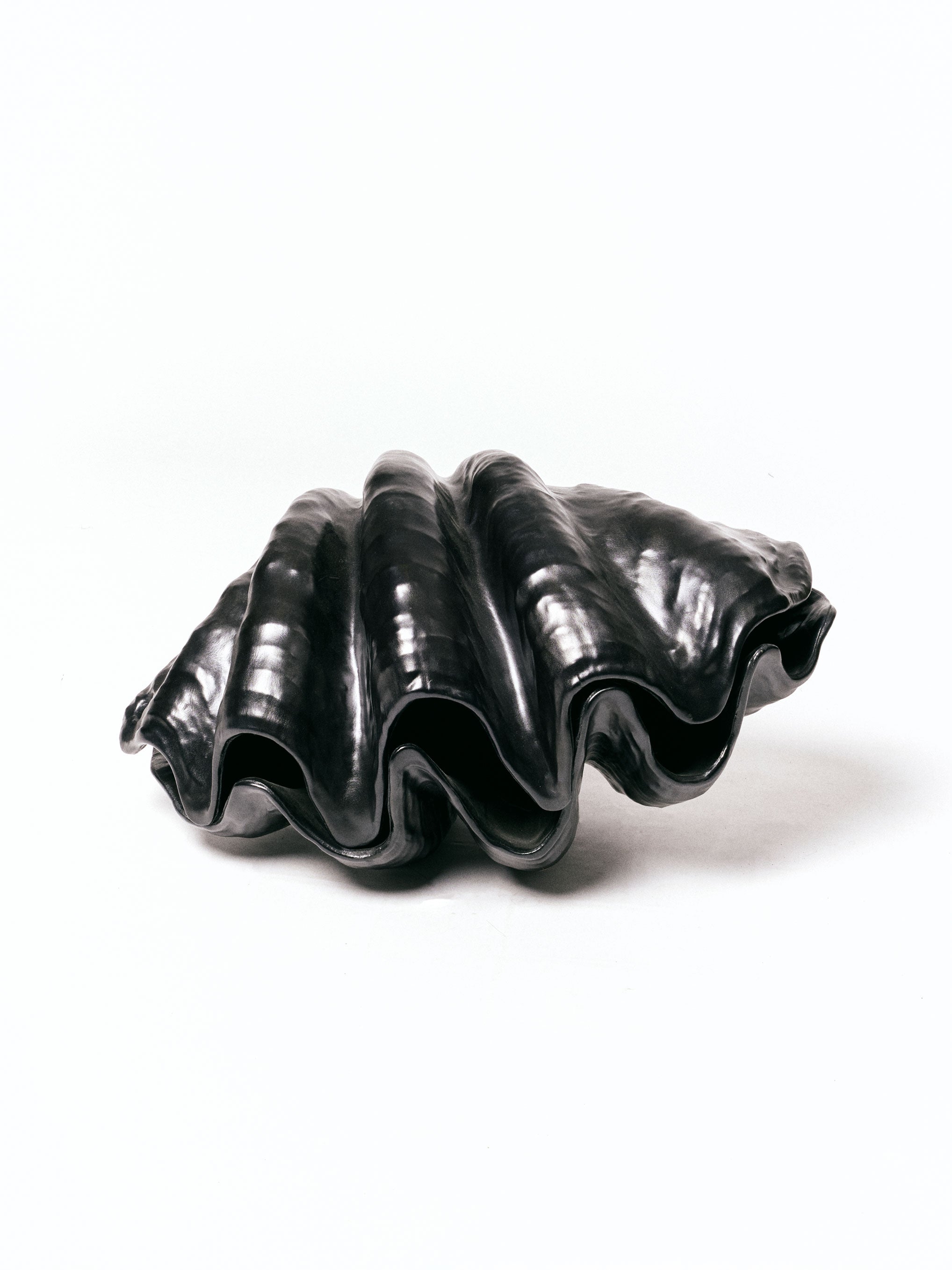 Giant Black Leather Shell